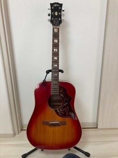 アコースティックギター ARIA WH-25