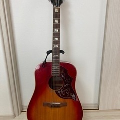 アコースティックギター ARIA WH-25