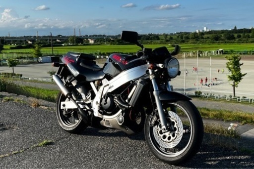 スズキ ウルフ250 2st 250cc 規制前 45馬力 ほぼフルノーマル