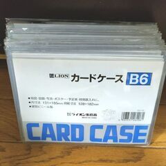 カードケース 19枚 B6 ハードタイプ