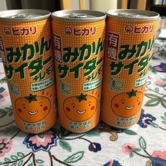 ⭐︎体に優しい⭐︎無添加　みかんジュース　炭酸飲料