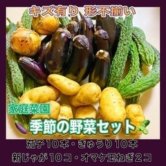 7月30日販売 大量 季節の野菜セット 
