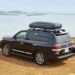 3/8値下げしました！⭐️人気⭐️ESCAPE mini GIANT ジャイアント 20  