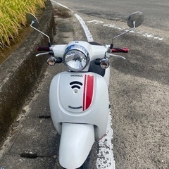 ホンダジョルノインジェクション