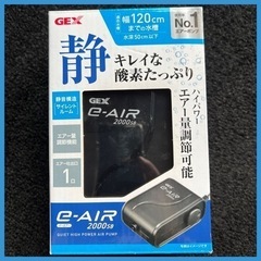GEX  e-AIR 2000SB  