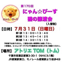 7月31日(日)🌸にゃん☆ぴーす猫の譲渡会🌸「アトリエTOM」J...