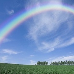 言葉では表せない、心の声を知る方法🌈