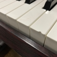 大特価！YAMAHA アリウス《YDP161》
