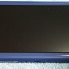 Nintendo Switch Lite ブルー ＋ MSDカー...