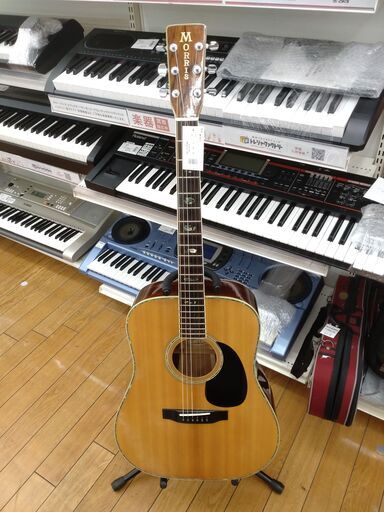 MORRIS アコースティックギター W-40 【ファイナルバーゲン