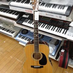 MORRIS アコースティックギター W-40