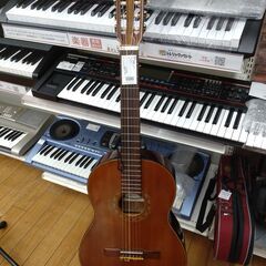 阿部ガットギター クラシックギター AG6F