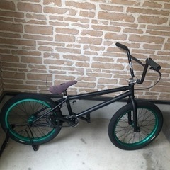 bmx We The People  zodiac  20インチ