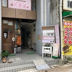 【広島駅近く】オオクワガタ入荷