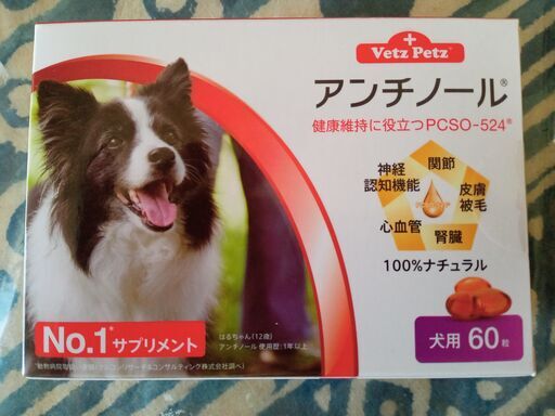 犬用サプリ：アンチノール
