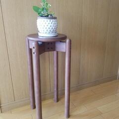 木製椅子北欧テイストインテリア観葉植物unico系
