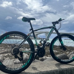 🏀🥎⚽️部活最適Fサス　Wディスク　