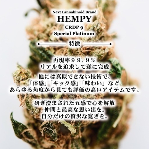 HEMPY platinam 限りなく本物 HEMPY platinam 限りなく本物②