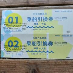 【ネット決済・配送可】神湊ー大島　乗船引換券(無料券)二枚