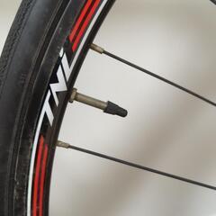 スクルトゥーラ400　2019年