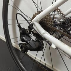 スクルトゥーラ400　2019年