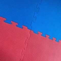 【10枚セット】ジョイントマット大判　在庫処分品　100×100×2cm　ハード　空手　柔術　合気道