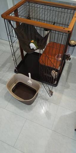 【猫飼い始めセット】猫ケージ、爪とぎ、トイレ、給水機、おもちゃのセット