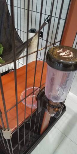 す*ぎ様 超お得！これから猫を飼う方必見！ ケージ×水飲み×爪研ぎお得セット 猫飼い始めセット】猫ケージ、爪とぎ、トイレ、給水機、おもちゃ