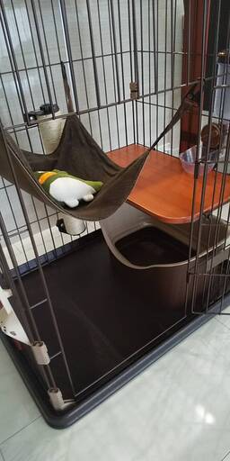 その他 【猫飼い始めセット】猫ケージ、爪とぎ、トイレ、給水機 
