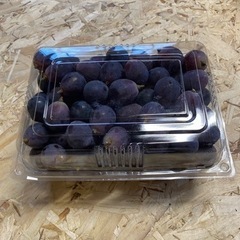 【お徳用あります！】ピオーネ1.5kg🍇