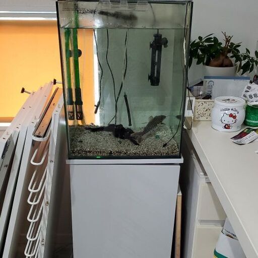 水槽セット比較的キレイ