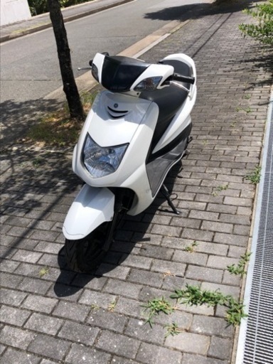 SE12 シグナス