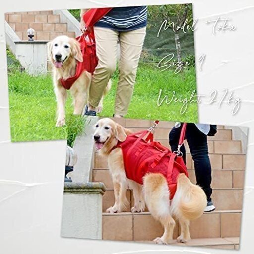 大型犬介護用3WAYケアハーネス(開封未使用品)