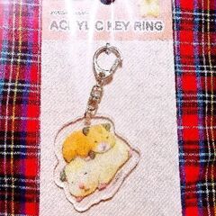 💫🌈✨完売✨🌈💫とても喜ばれました♥️【新品未開封】有名LINE...