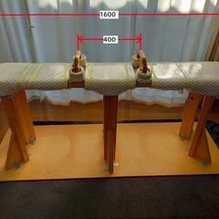 体操競技　器械体操　あん馬  円馬　練習器具
