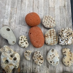海岸沿いで集めた貝殻や石など！