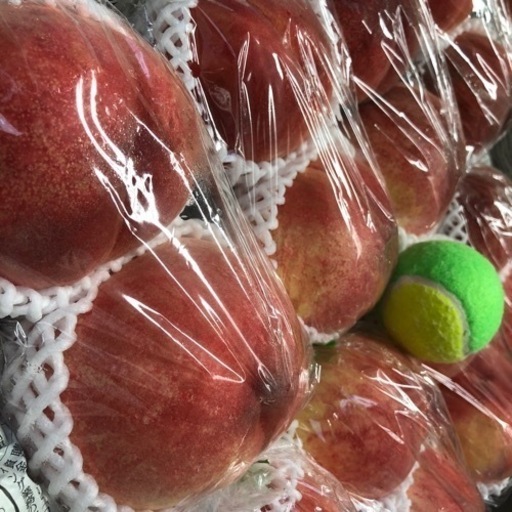 初入荷…‼️あかつき…‼️桃特大…類サイズ12玉入り‼️発泡スチロール