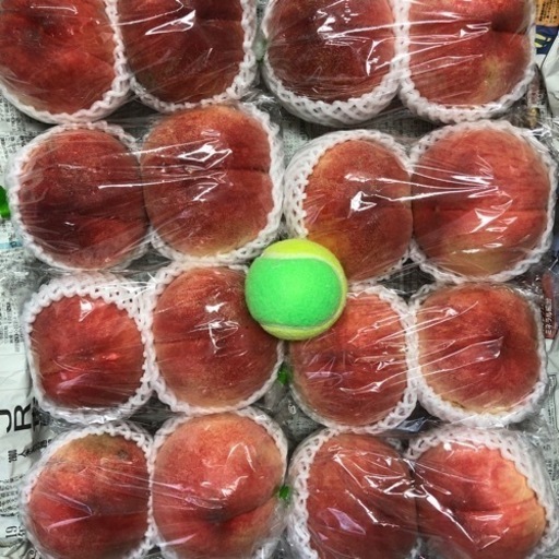 初入荷…‼️あかつき…‼️桃特大…類サイズ12玉入り‼️発泡スチロール