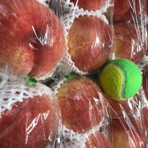 初入荷…‼️あかつき…‼️特大…類サイズ16玉入り‼️発泡スチロール箱入り氷袋入り…‼️ピックアップ引き取り…調整可能‼️ 初入荷…‼️あかつき…‼️特大…類サイズ16玉入り‼️発泡スチロール箱入り