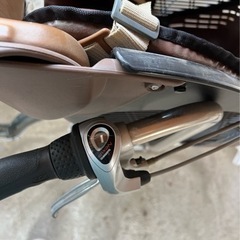 「決まりました」3人乗り自転車 ダークグリーン20/26インチ