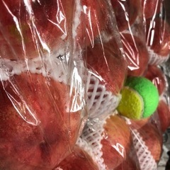 初入荷…‼️あかつき…‼桃️特大…類サイズ16玉入り‼️発泡スチロール箱入り