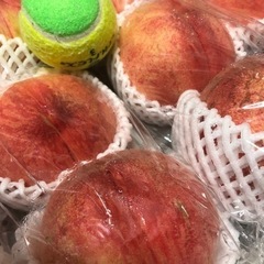 初入荷…‼️あかつき…‼桃️特大…類サイズ16玉入り‼️発泡スチロール箱入り