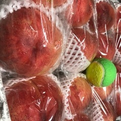 初入荷…‼️あかつき…‼桃️特大…類サイズ16玉入り‼️発泡スチロール箱入り