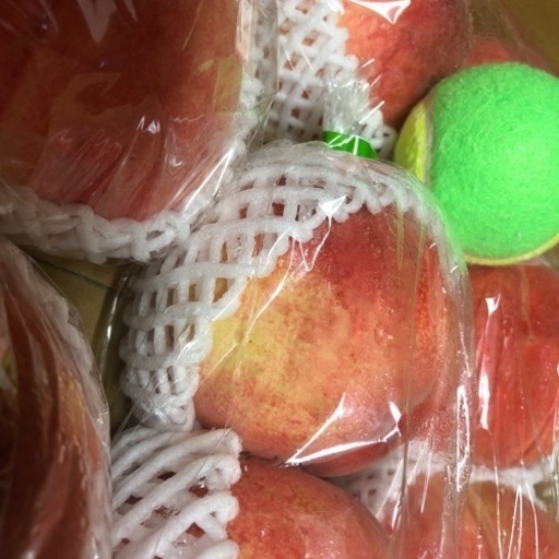 初入荷…‼️あかつき…‼桃️特大…類サイズ16玉入り‼️発泡スチロール