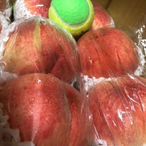 初入荷…‼️あかつき…‼桃️特大…類サイズ16玉入り‼️発泡スチロール