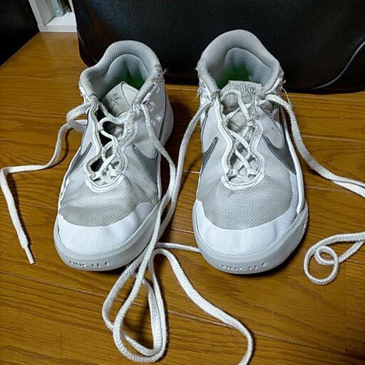 バスケットシューズ ナイキ バッシュ 23cm 白 ホワイト Tomtom 横屋のキッズ用品 子供用シューズ の中古あげます 譲ります ジモティー で不用品の処分