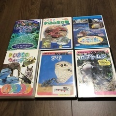 海洋生物、昆虫DVDセット