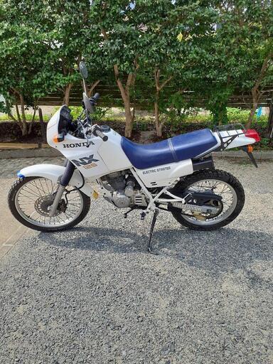ホンダ NX 125