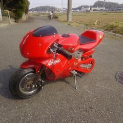 最終格下げします！ポケバイ