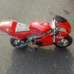 最終格下げします！ポケバイ